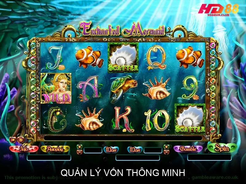 Tránh tâm lý gỡ gạc và đặt cược theo cảm xúc