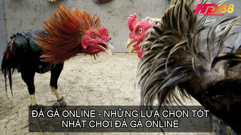 da ga online 68f6fb906674a