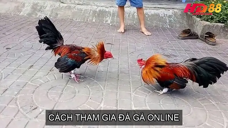 Nạp Tiền và Đặt Cược