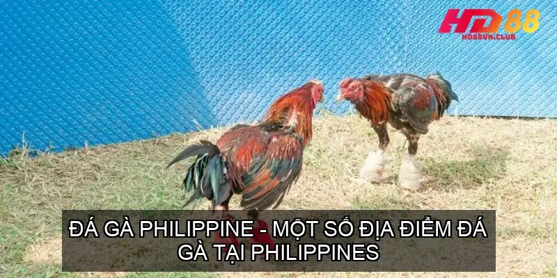 da ga philippines 68f1e452720b1