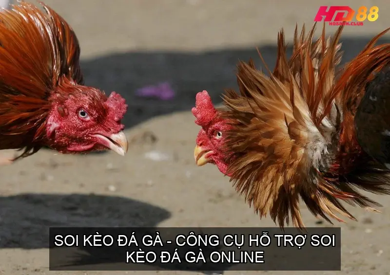 soi keo da ga 68f6fb8a605a1