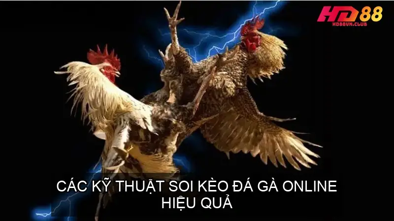 Lưu Ý Khi Soi Kèo