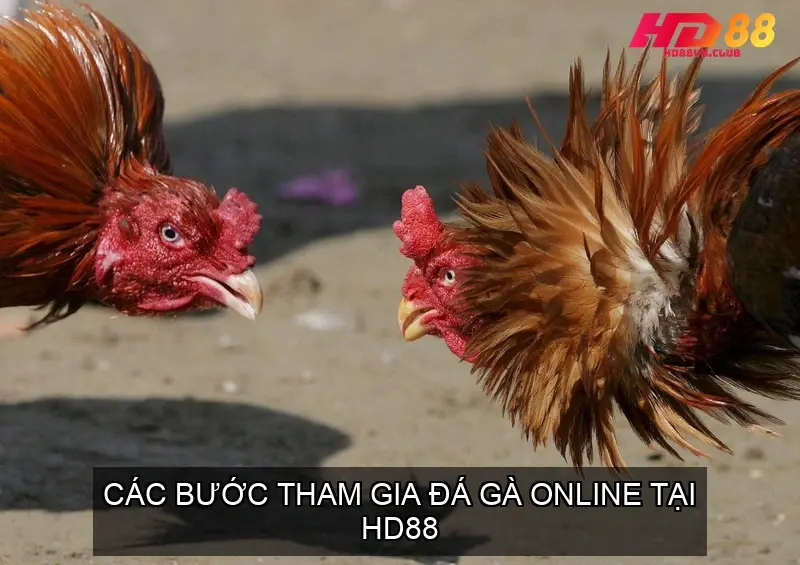 Nạp tiền vào tài khoản