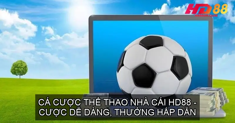 the thao hd88 68f1e0ff9068f