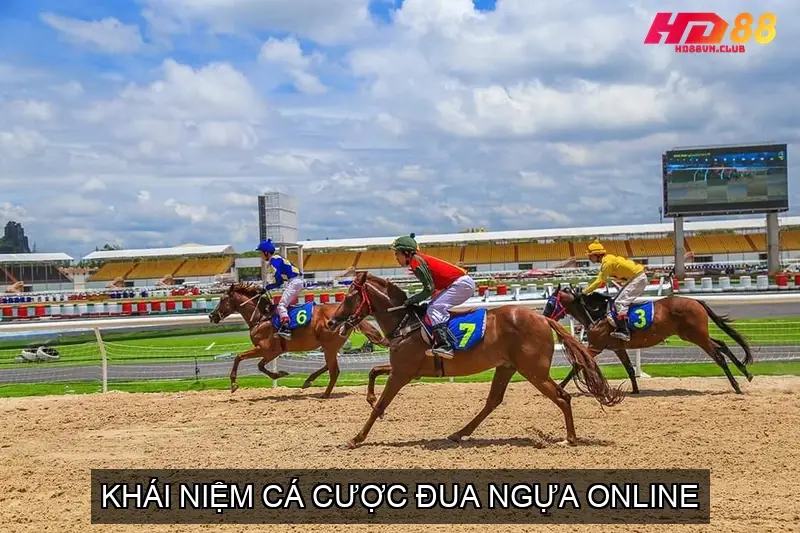 Top 5 nhà cái cá cược đua ngựa online tốt nhất Top 5 nhà cái cá cược đua ngựa online tốt nhất