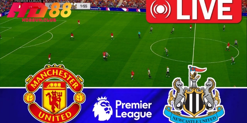 Đánh giá trận đấu từ chuyên gia HD88Đánh giá trận đấu từ chuyên gia HD88Đánh giá trận đấu từ chuyên gia HD88