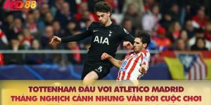 Tottenham đấu với Atlético Madrid